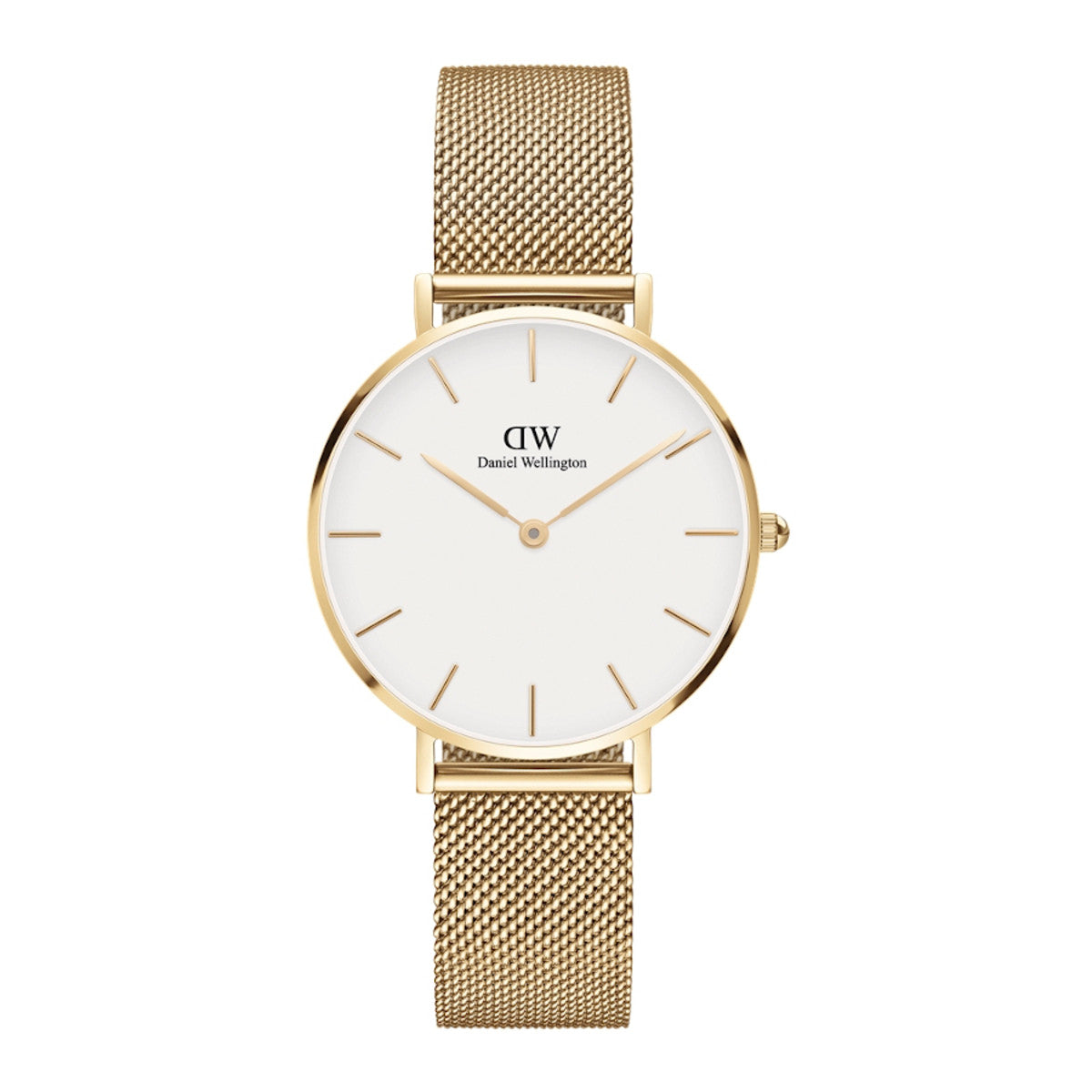 RELOGIO Daniel Wellington Petite Evergold - Ana Joalheiros