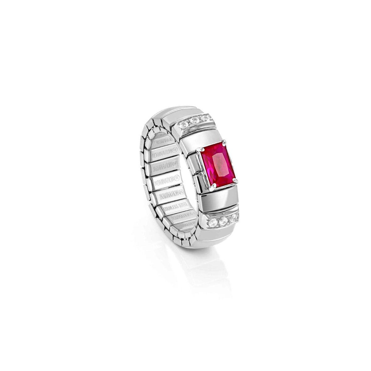 Anel Nomination Extension