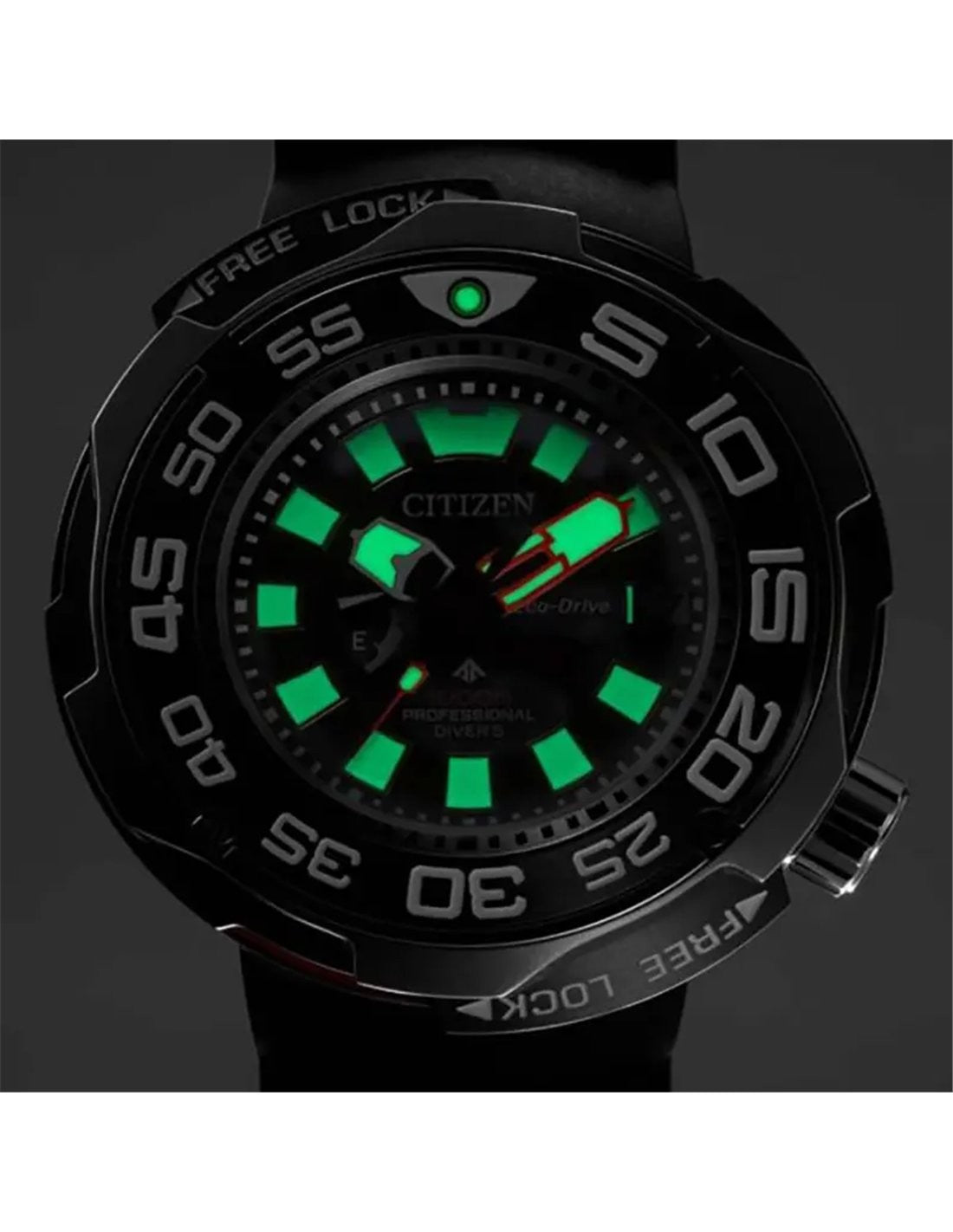 Relógio Citizen Promaster Professional Diver 1000