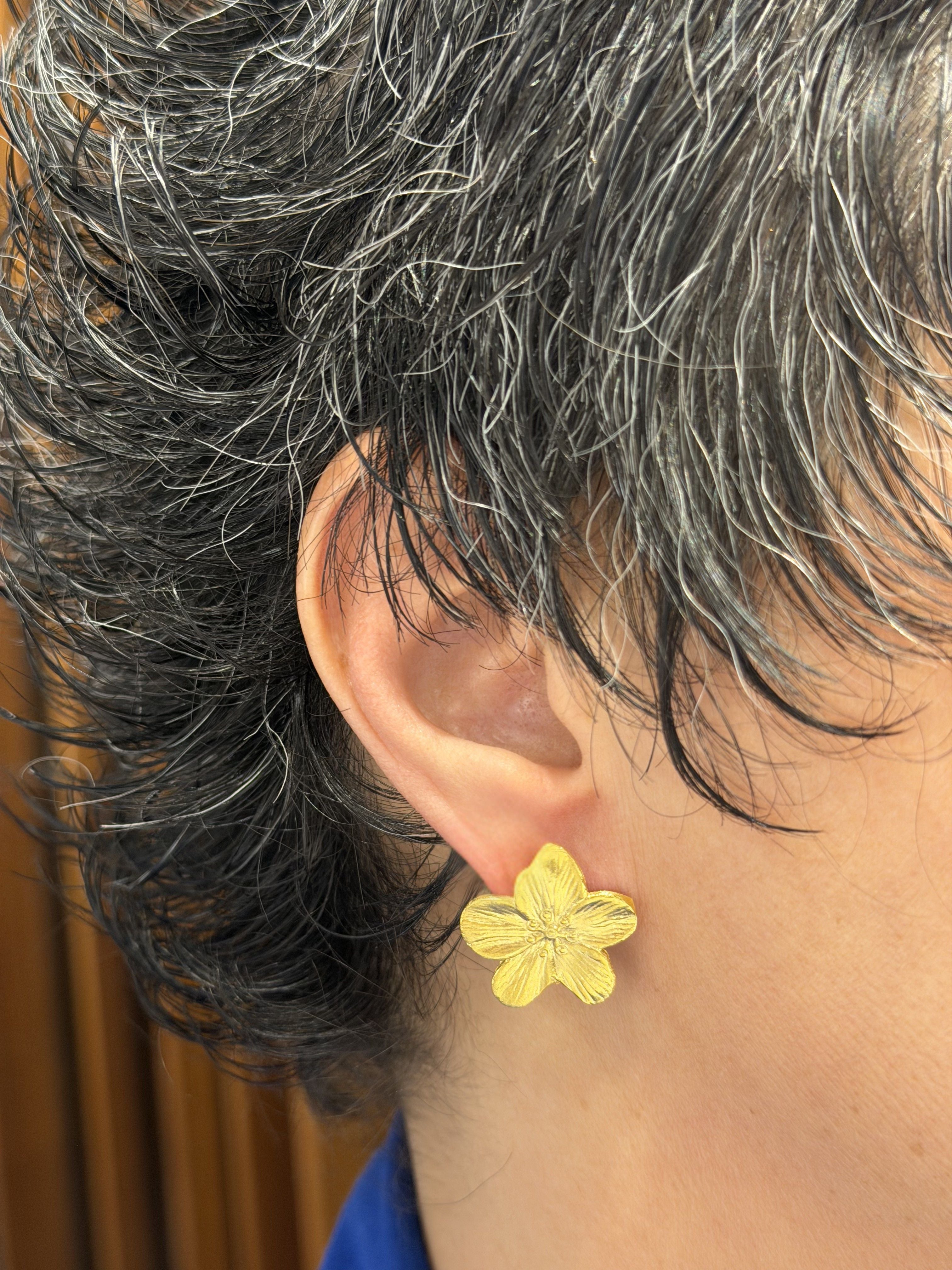 Ana Joalheiros - Brincos em Prata - Brincos Dourados Ana Joalheiros BR14928-D brincos na orelha