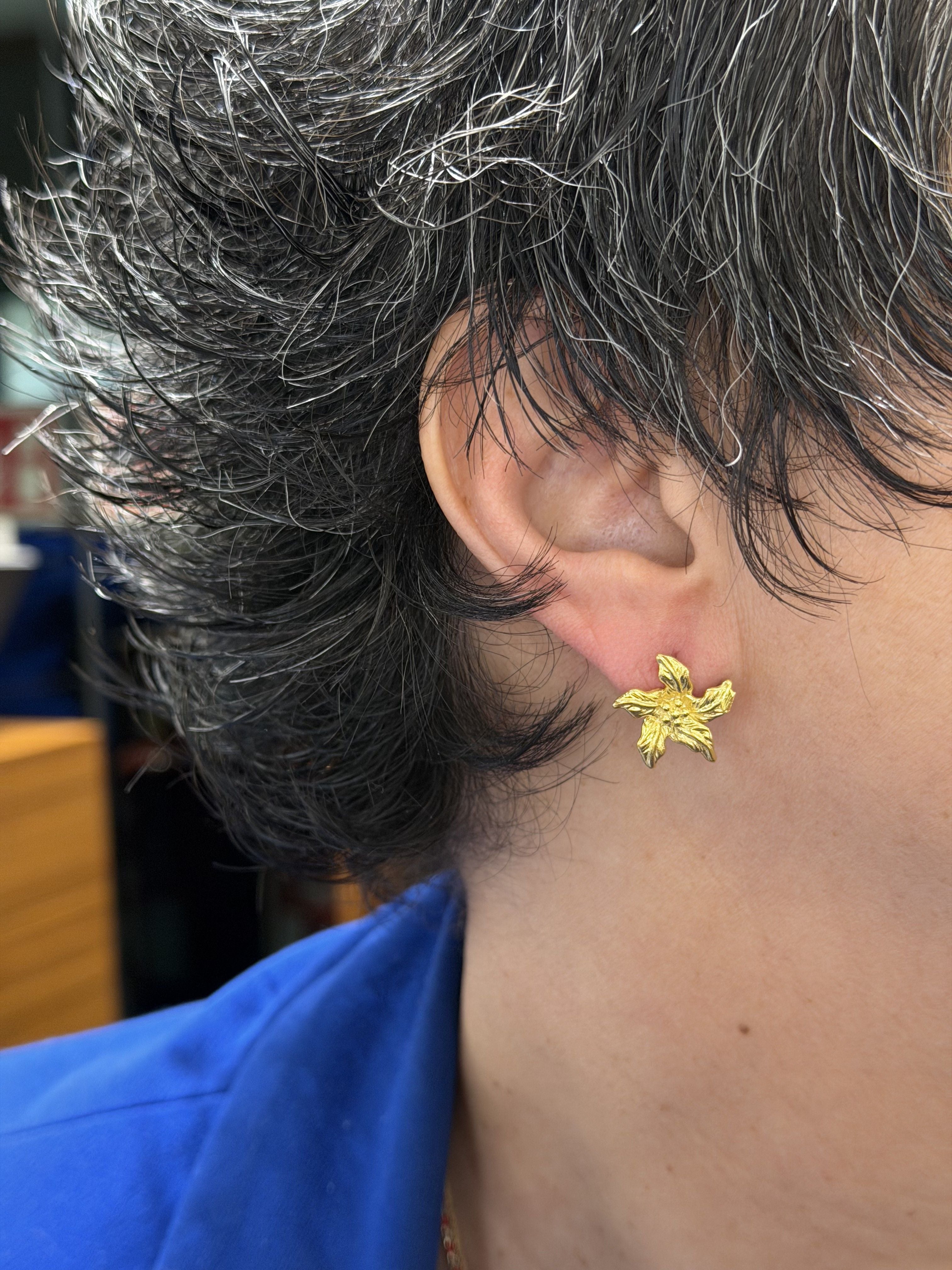 Ana Joalheiros - Brincos em Prata - Brincos Dourados Ana Joalheiros BR14936-D brincos na orelha