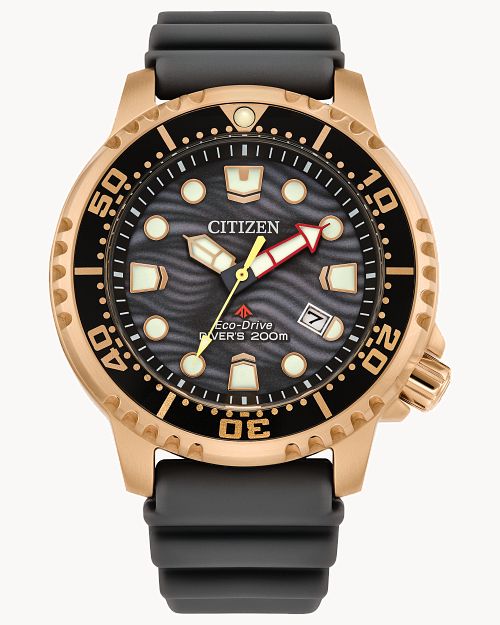 Relogio Citizen Promaster SS - Ana Joalheiros