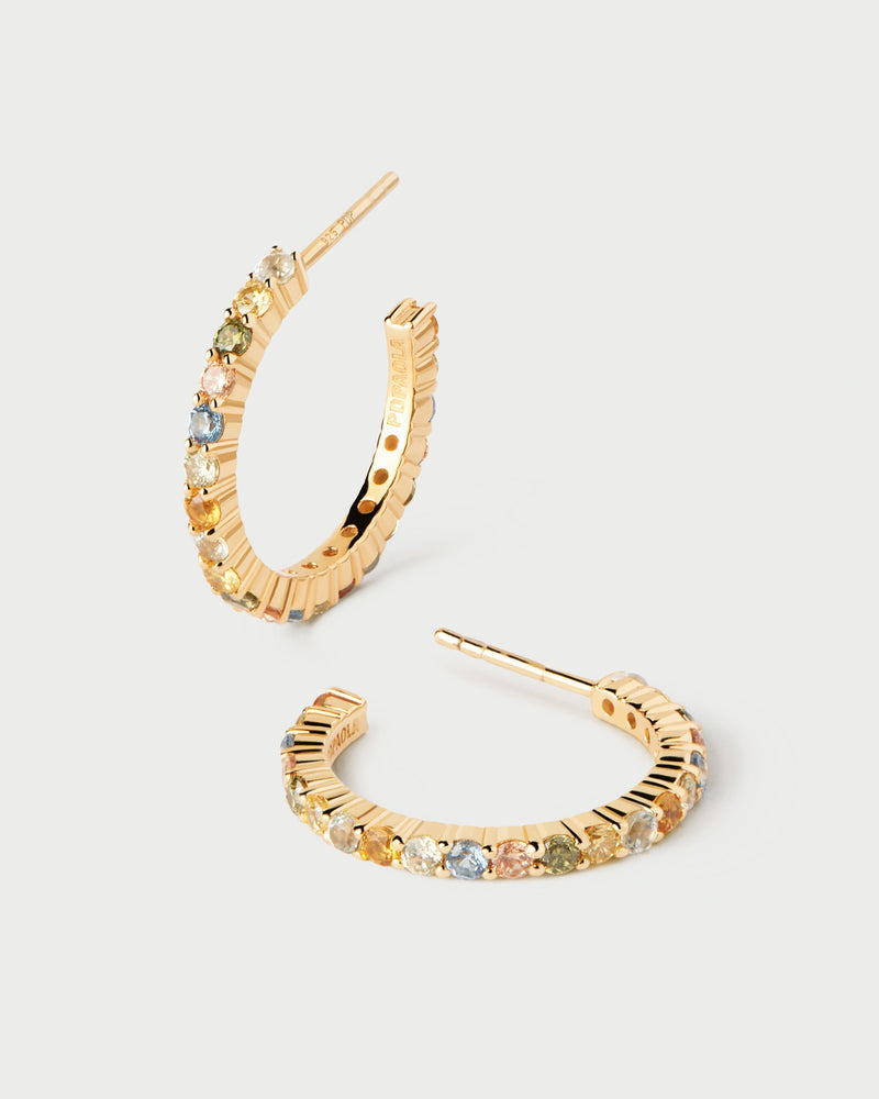 PdPaola Rainbow Hoops Earrings