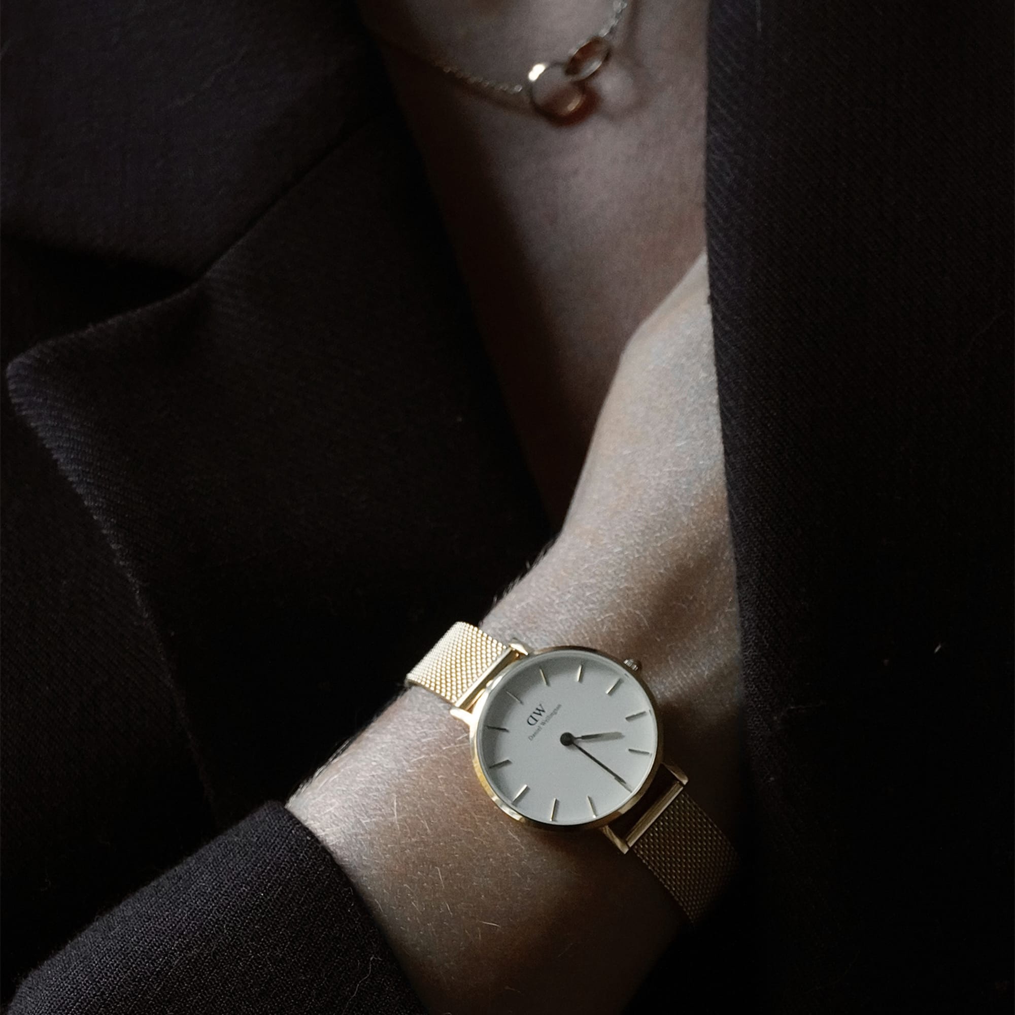 RELOGIO Daniel Wellington Petite Evergold