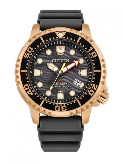 Relogio Citizen Promaster SS - Ana Joalheiros