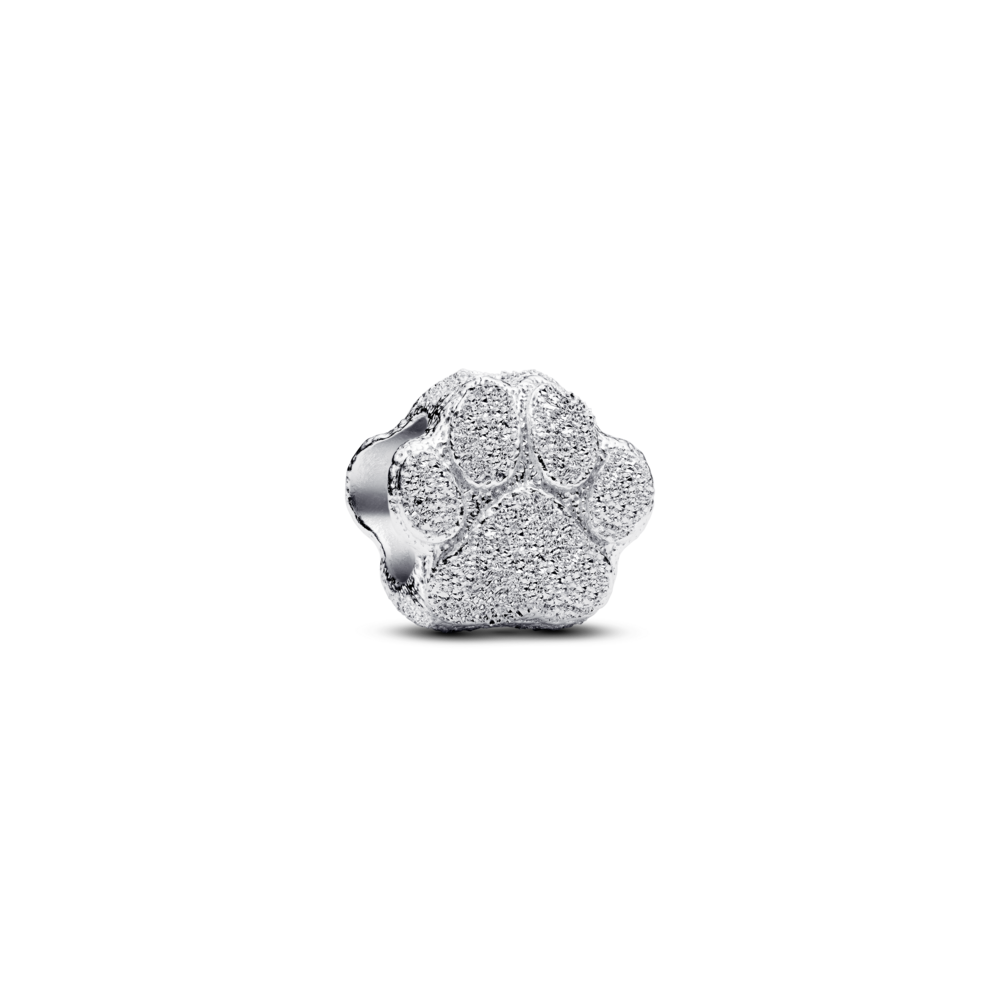 Conta Pandora PAW