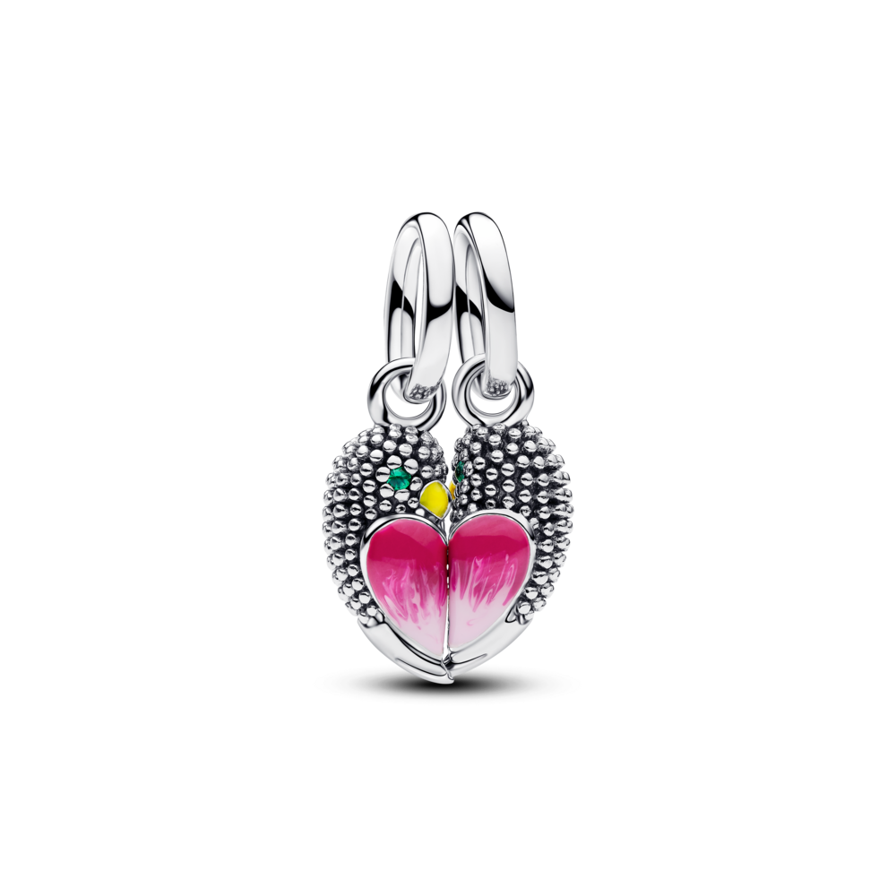 Conta Pandora  Pendente Divisível Love Birds