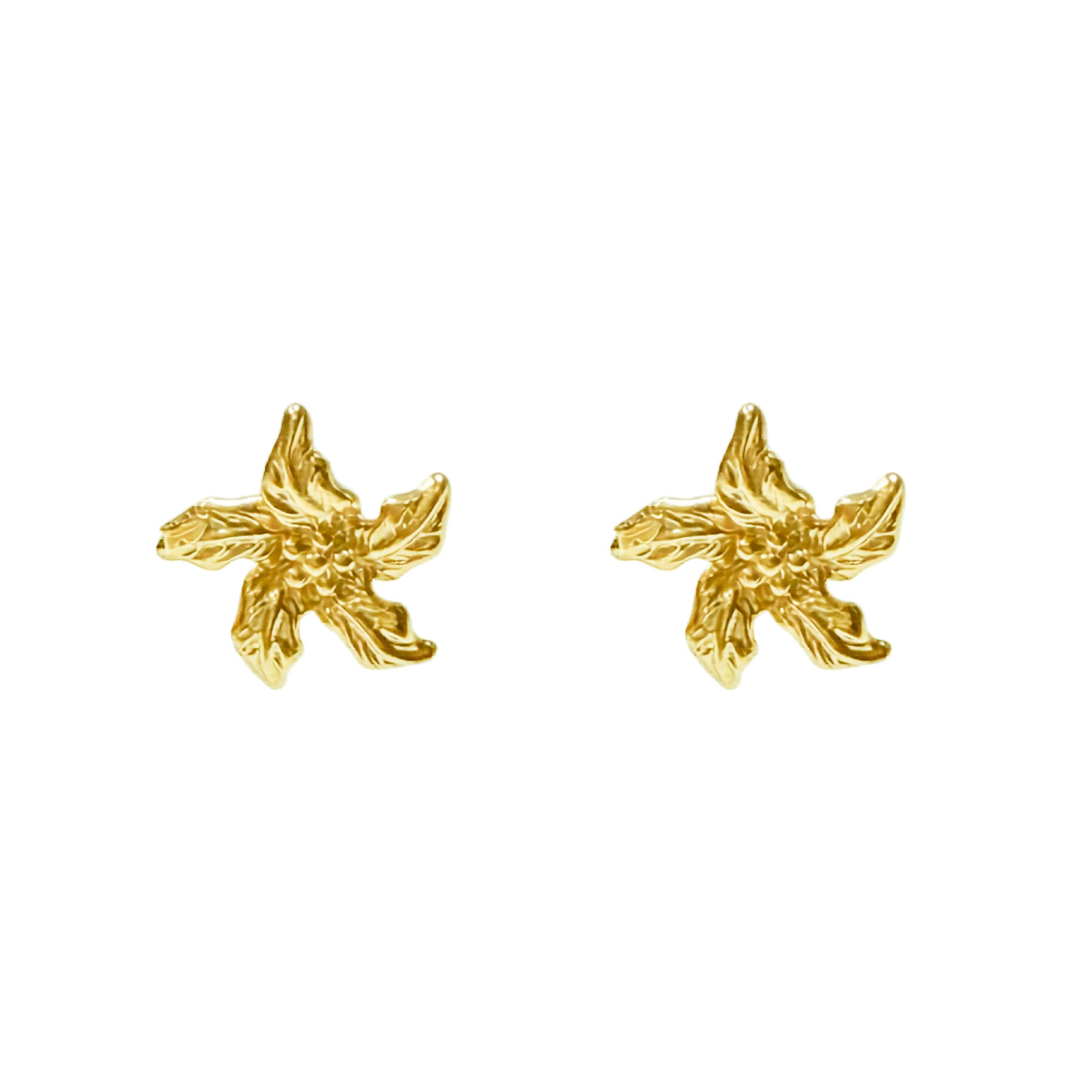 Ana Joalheiros - Brincos em Prata - Brincos Dourados Ana Joalheiros Imperial BR14936-D  