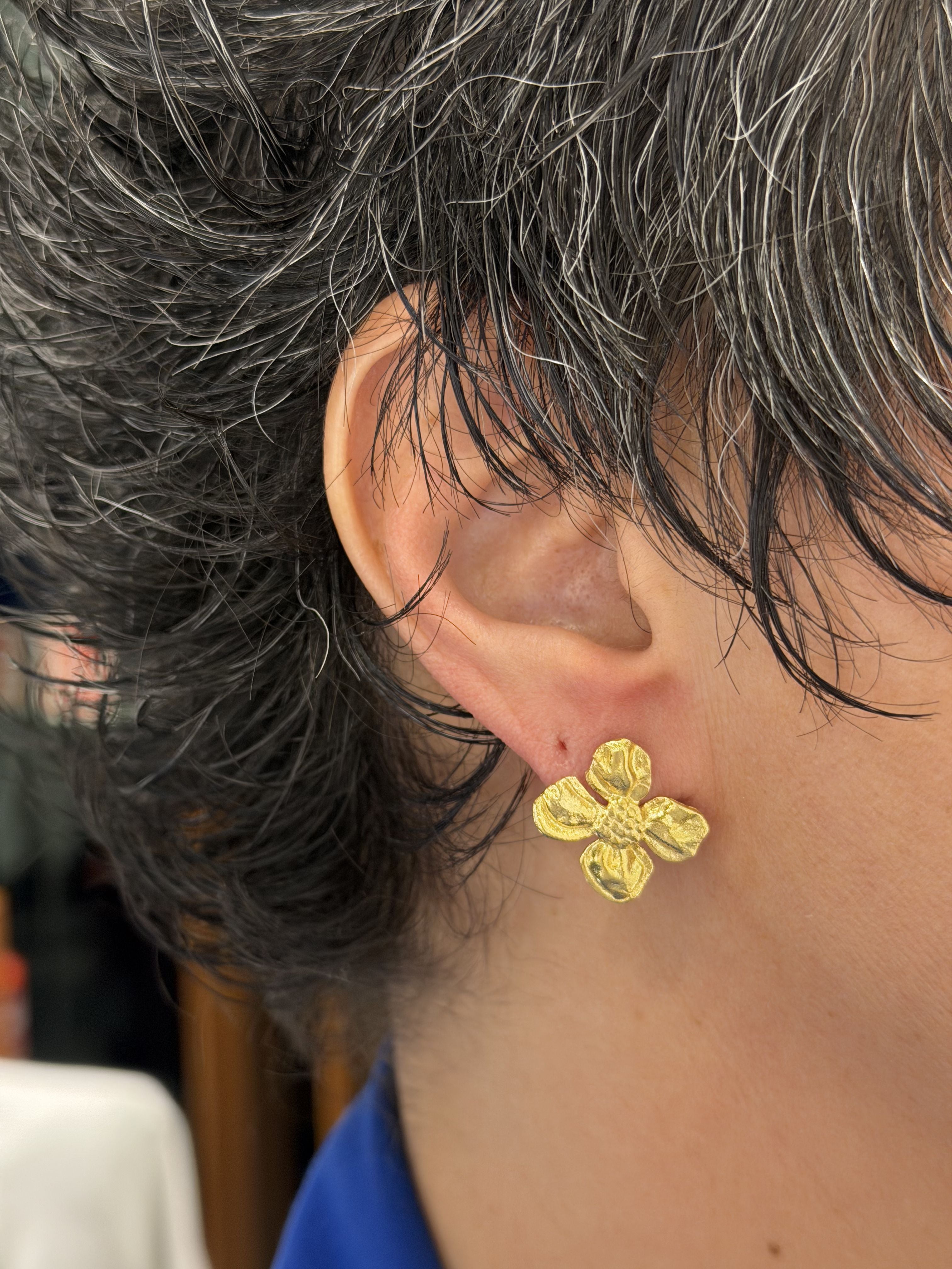 Ana Joalheiros - Brincos em Prata - Brincos Dourados Ana Joalheiros BR14277-D