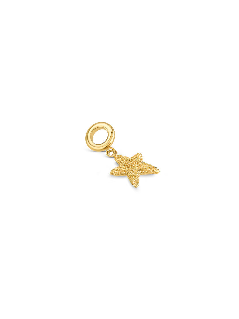 Ana Joalheiros - Charms One - Charm One Energy Starfish Gold OJEBC800 base