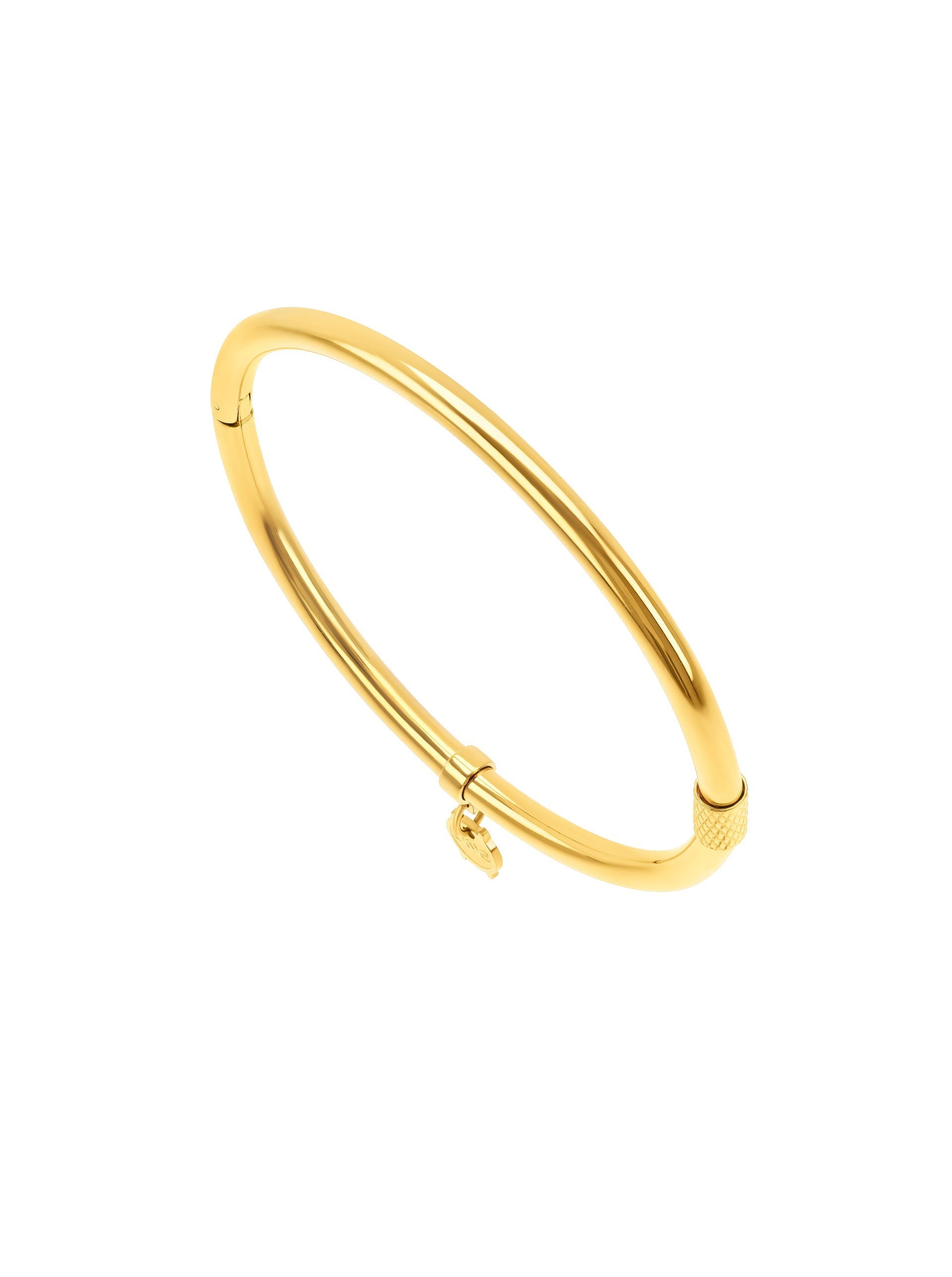Bangle One Energy Master Oval Golden