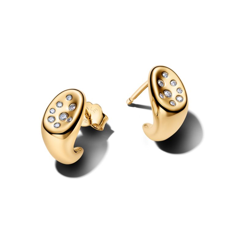 Brincos Pandora Forma Orgânica Pedra com Zircónias
