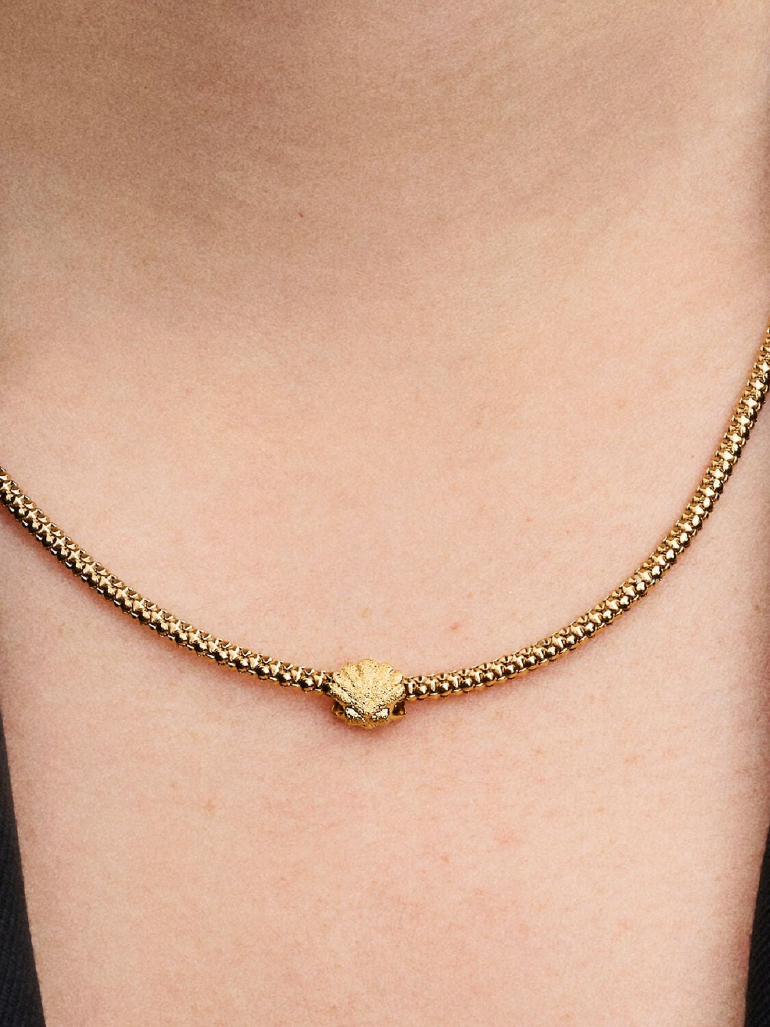 Mini Conta Pandora Concha Texturada
Revestimento de ouro 14k - Ana Joalheiros