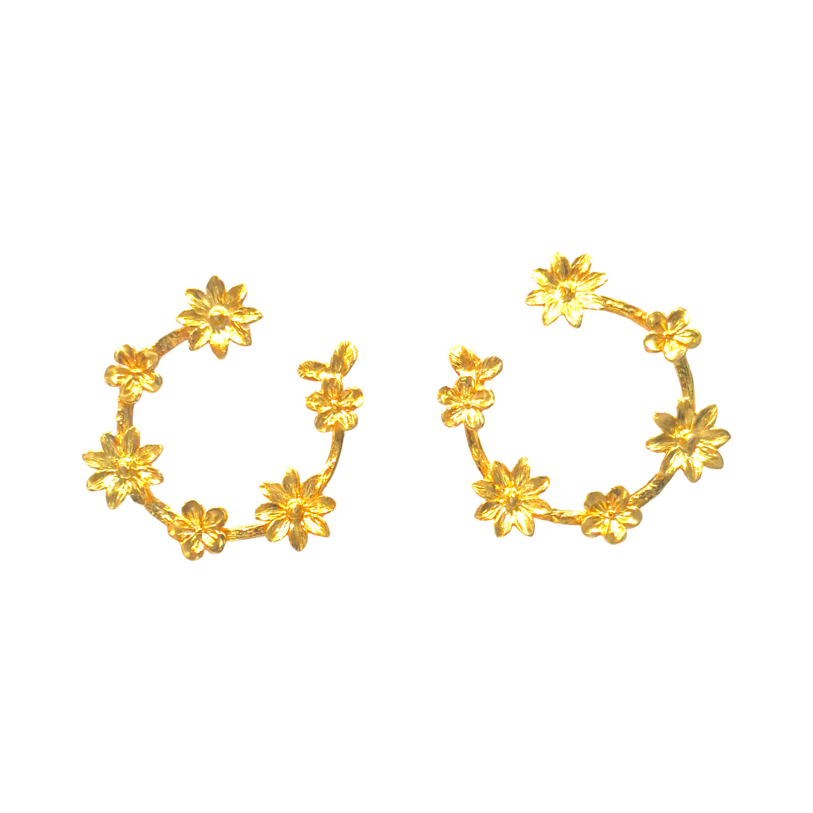 ANA JEWELLERS SILVER CIRCLE EARRING WITH FLOWERS