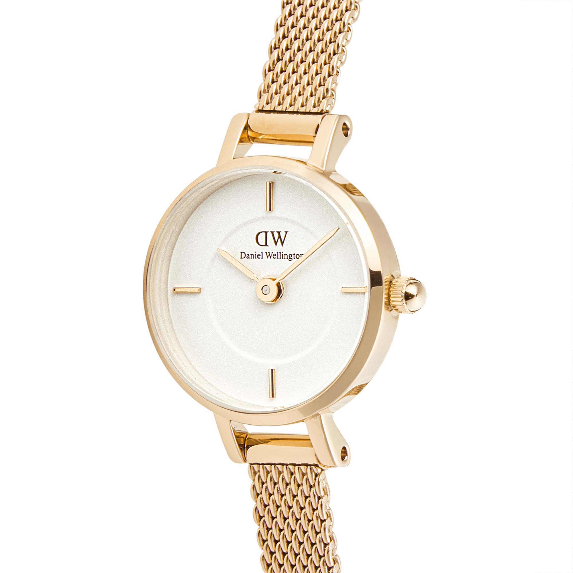 Relógio Daniel Wellington Petite Mini Evergold